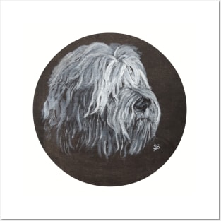 Tibetan Terrier Head Posters and Art